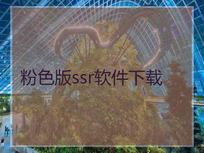 粉色版ssr软件下载