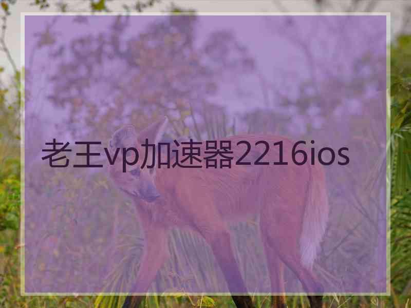 老王vp加速器2216ios