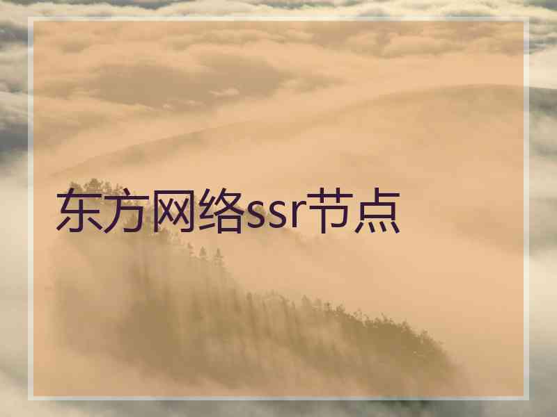 东方网络ssr节点