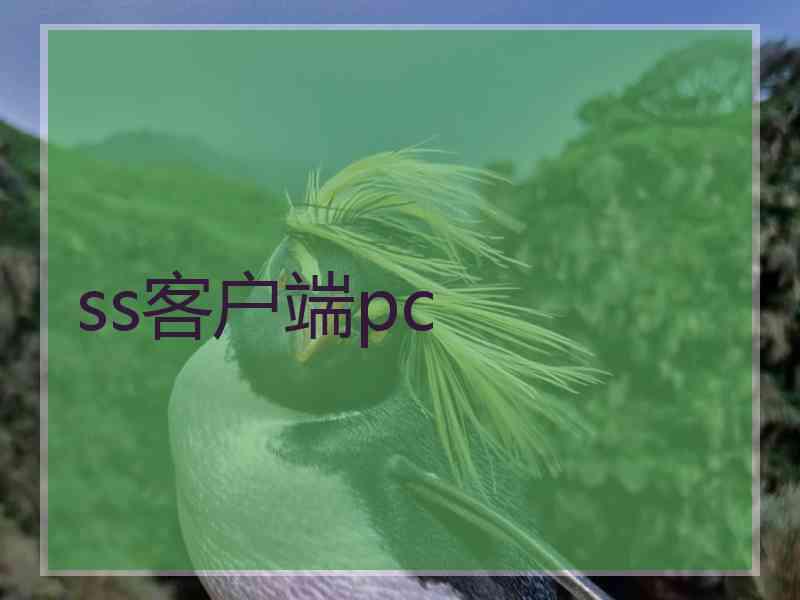 ss客户端pc