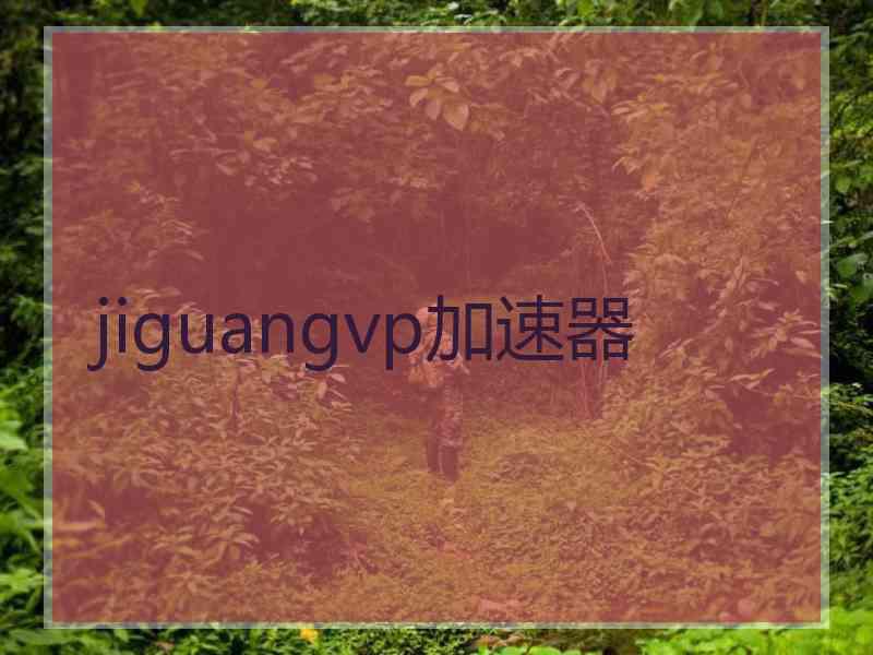 jiguangvp加速器